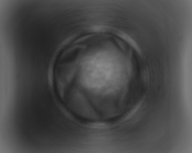 X0000100930581200807081215