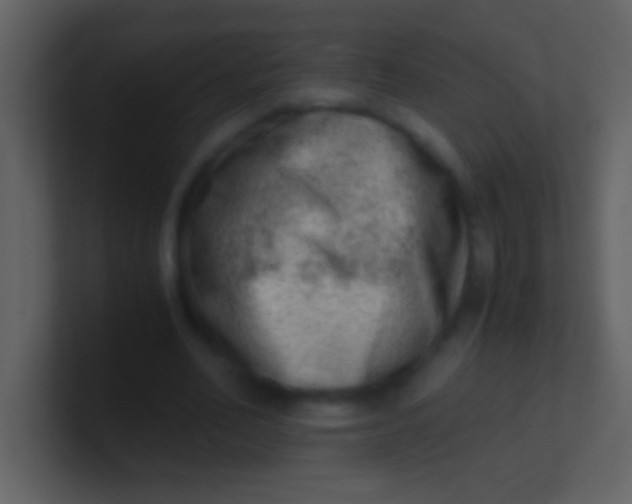 X0000100930582200807081215