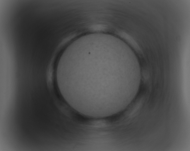 X0000100930583200807081215