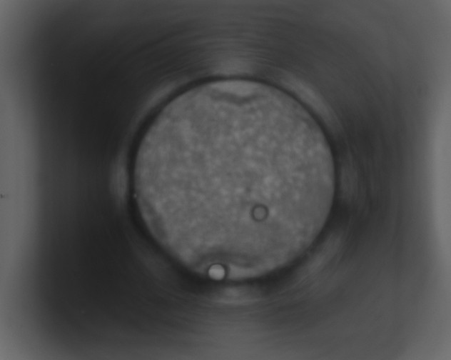 X0000100930584200807081215