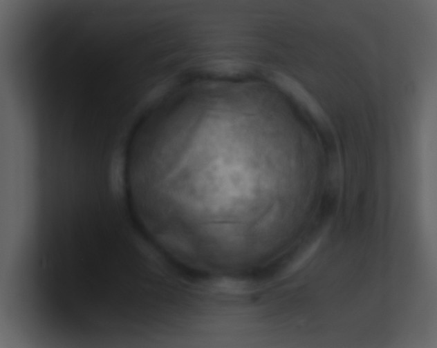 X0000100930585200807081215