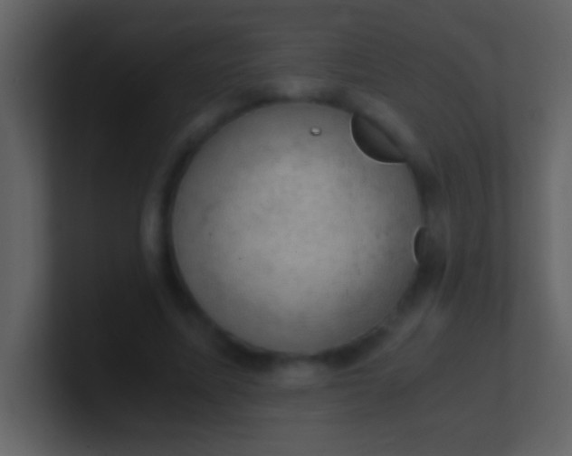 X0000100930587200807081215