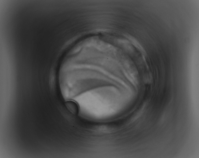 X0000100930588200807081214