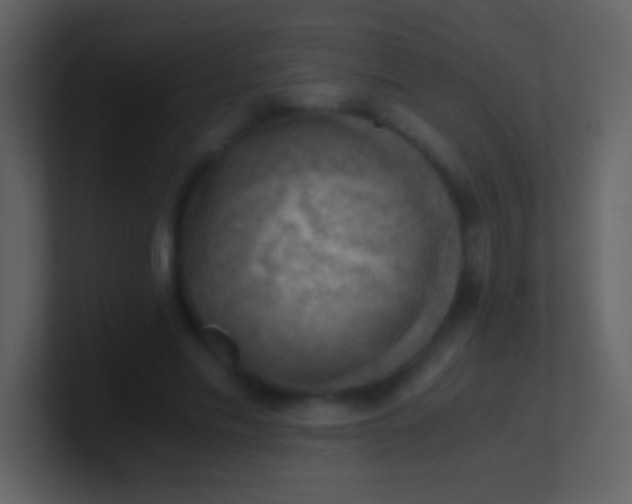 X0000100930589200807081214