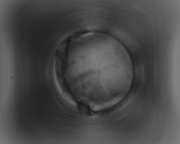 X0000100930592200807081214