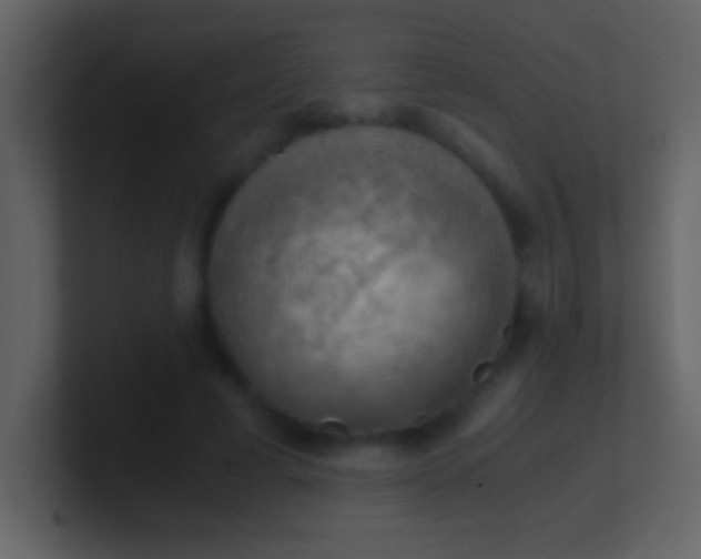 X0000100930593200807081214