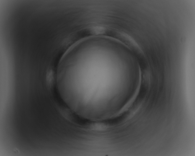 X0000100930598200807081214