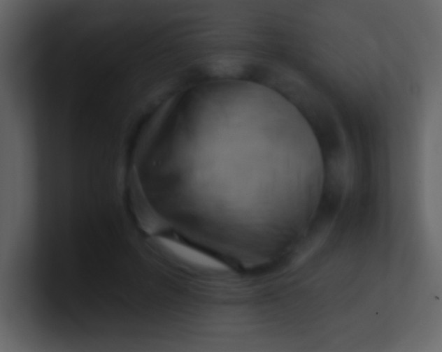 X0000100930600200807081214