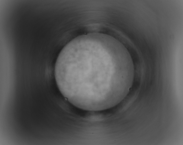 X0000100930601200807081214