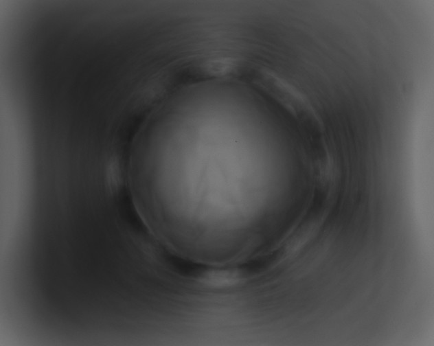 X0000100930606200807081214