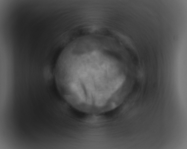 X0000100930607200807081214