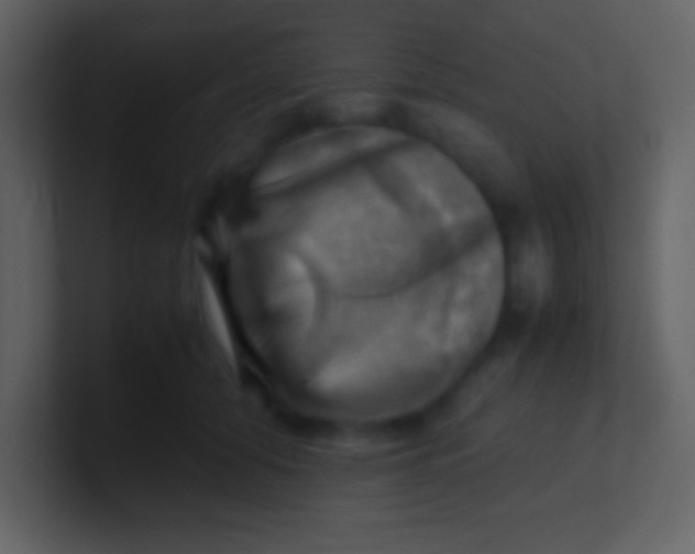 X0000100930608200807081214