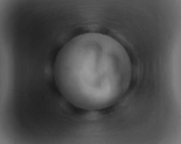 X0000100930609200807081214