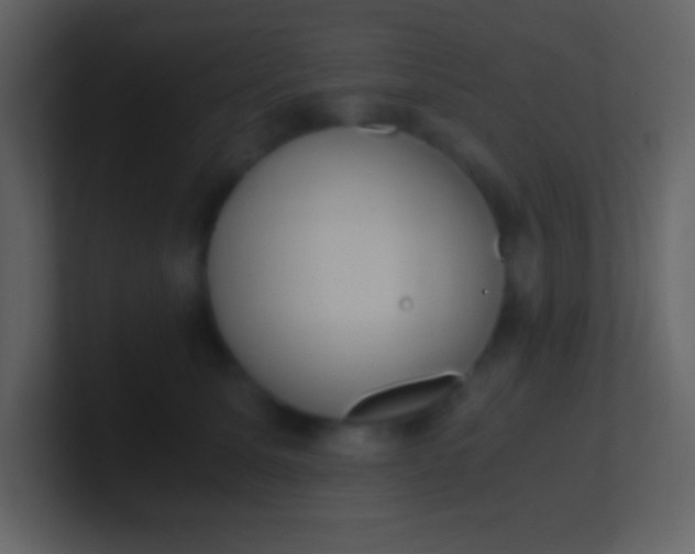 X0000100930611200807081214