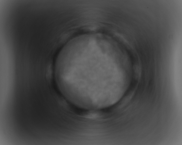 X0000100930612200807081214