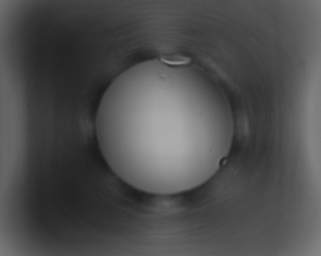 X0000100930613200807081214