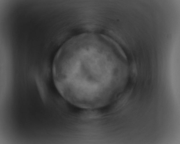 X0000100930615200807081214