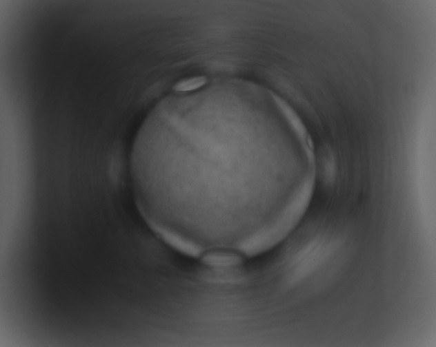 X0000100930619200807081214