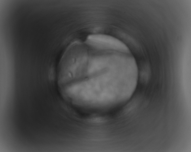 X0000100930620200807081214