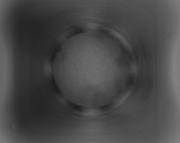 X0000100930621200807081214