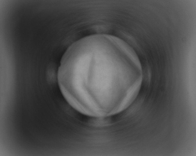 X0000100930622200807081214