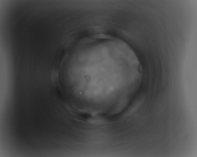 X0000100930624200807081214