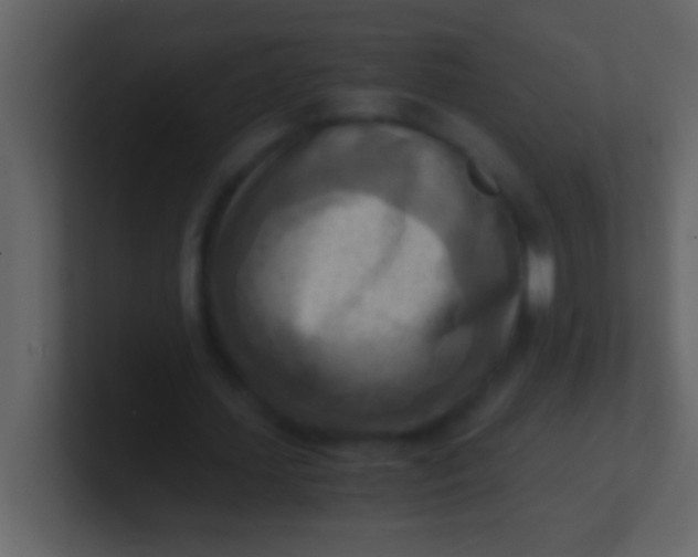 X0000100930627200807081213