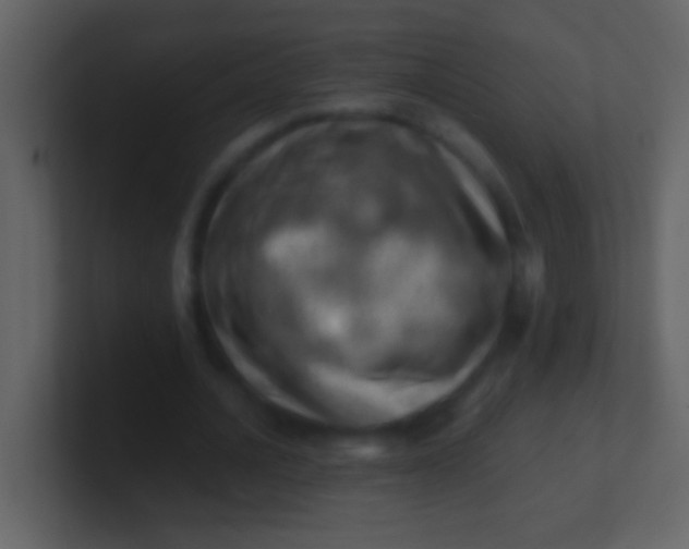 X0000100930628200807081213