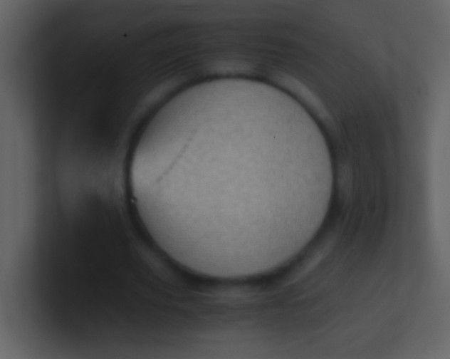 X0000100930629200807081213