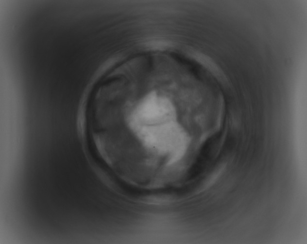 X0000100930630200807081213