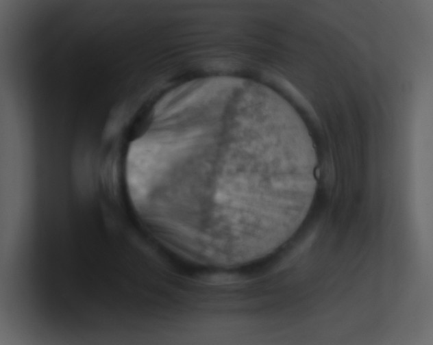 X0000100930637200807081213