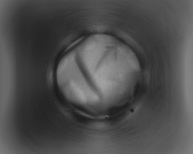 X0000100930638200807081213