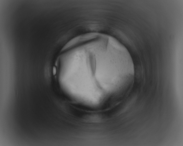 X0000100930639200807081213