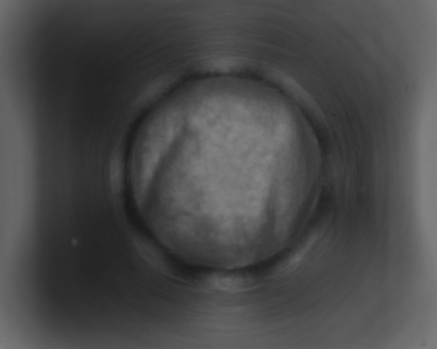 X0000100930640200807081214