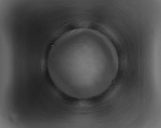 X0000100930641200807081214