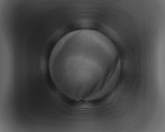 X0000100930643200807081214