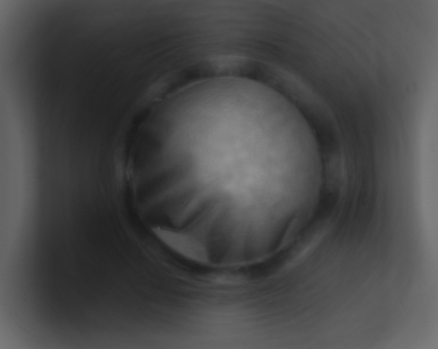 X0000100930644200807081214