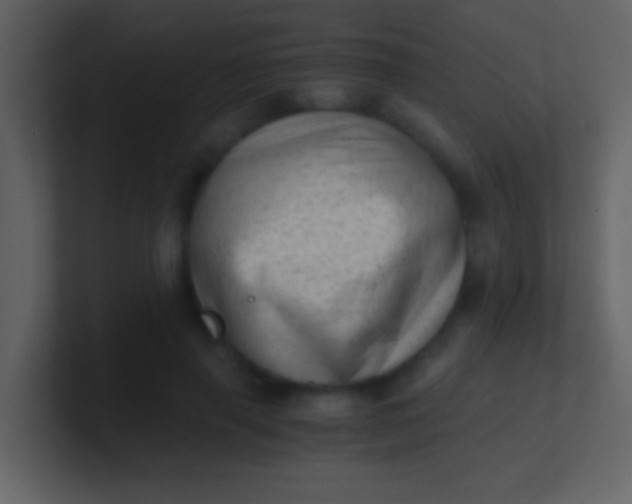 X0000100930645200807081214