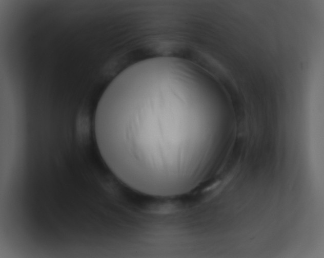 X0000100930646200807081214