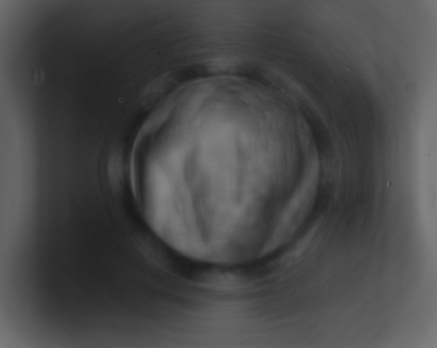 X0000100930648200807081214