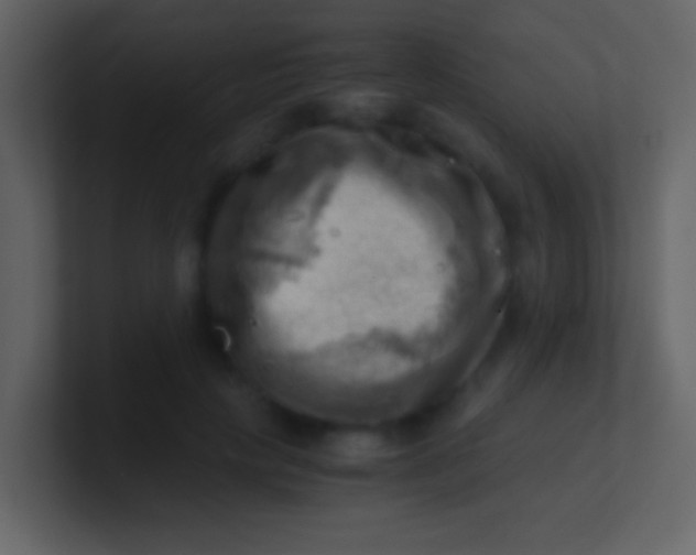 X0000100930649200807081214