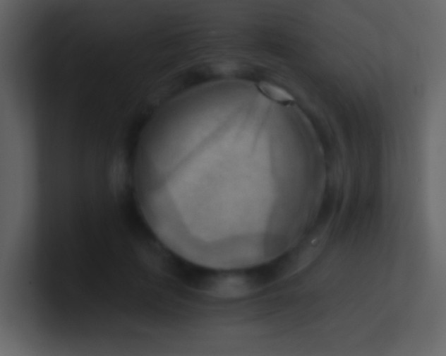 X0000100930651200807081214