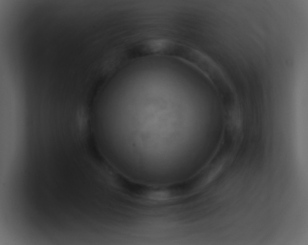 X0000100930653200807081214