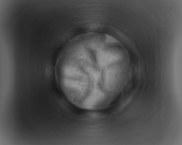 X0000100930654200807081214