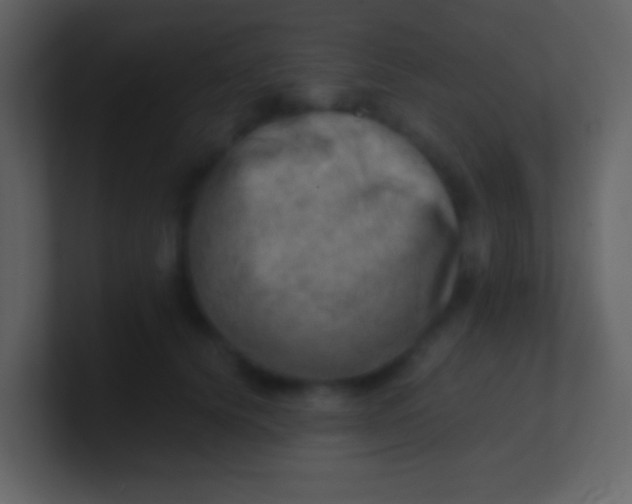 X0000100930656200807081214