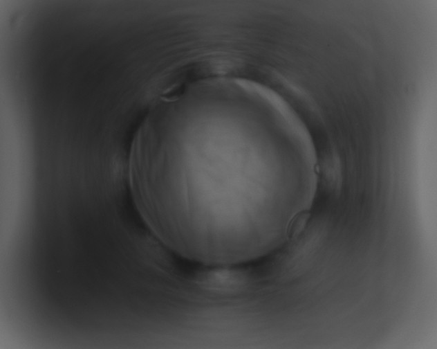 X0000100930657200807081214