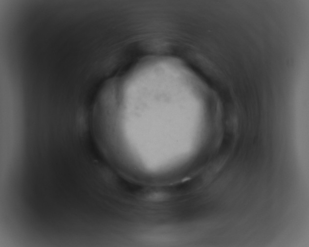 X0000100930658200807081214