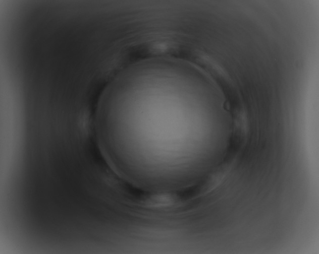 X0000100930659200807081214