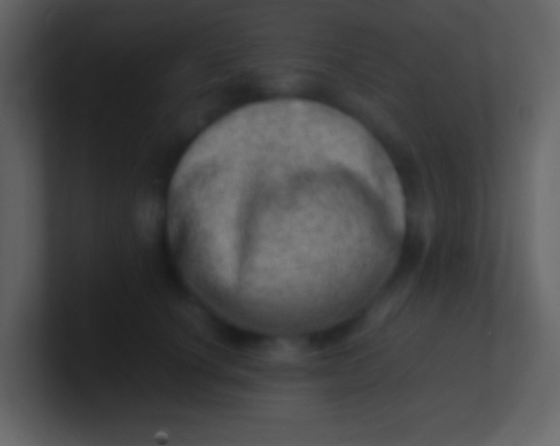 X0000100930660200807081214