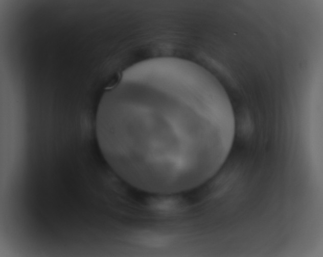 X0000100930661200807081214